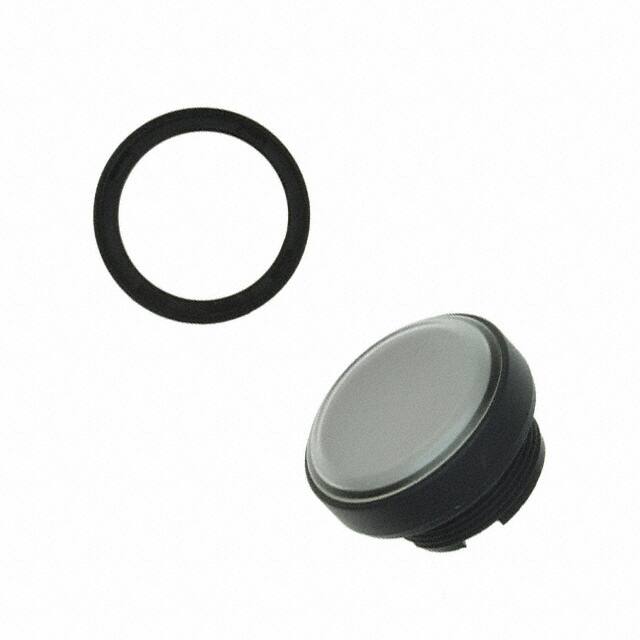 1.74506.0011000 RAFI USA                                                                    SWITCH CAP IND RND COLRLESS