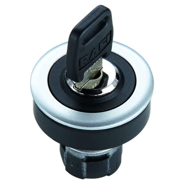 1.30096.0710000 RAFI USA                                                                    KEYLOCK SWITCH