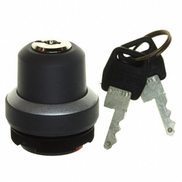 1.30255.0020000 RAFI USA                                                                    KEYLOCK SWITCH RND MOM 1X40