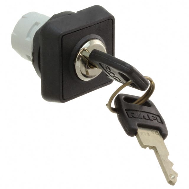 1.30076.1010000 RAFI USA                                                                    KEYLOCK SWITCH LATCHING