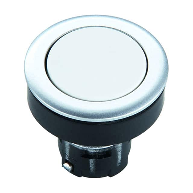 1.30090.0820000 RAFI USA                                                                    PUSHBUTTON