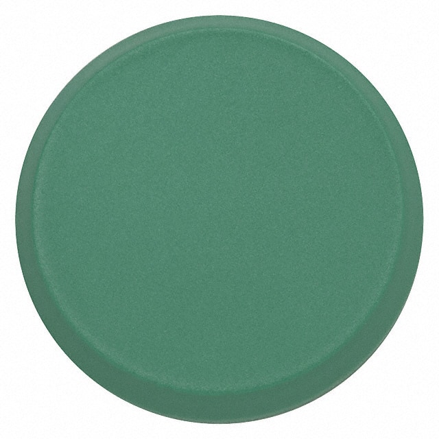 5.49263.0140500 RAFI USA                                                                    LENS OPAQUE GREEN