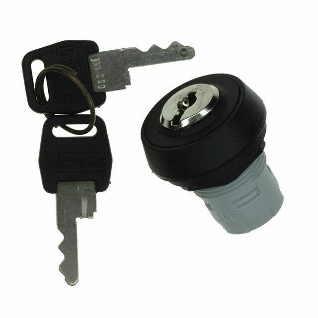 1.30076.4210000 RAFI USA                                                                    SWITCH KEYLOCK LAT 2X90 ROUND