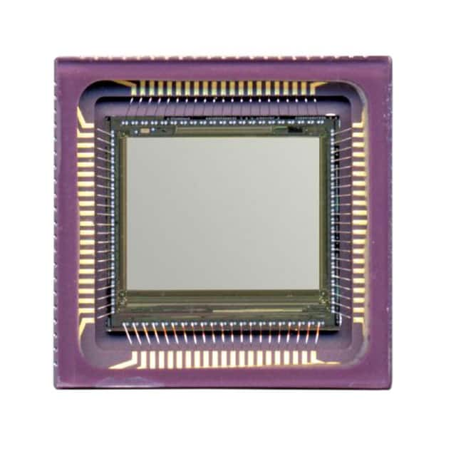 CYII5SM1300AB-QWC ON Semiconductor                                                                    SENSOR IMAGE MONO CMOS 84-LCC